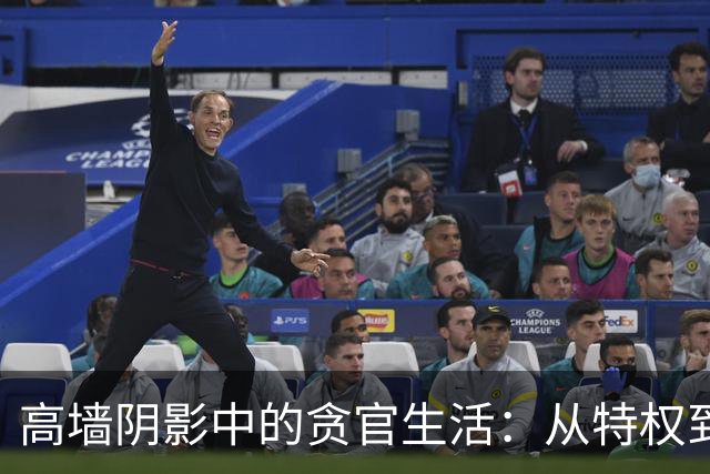 高墙阴影中的贪官生活：从特权到平凡的无奈转变